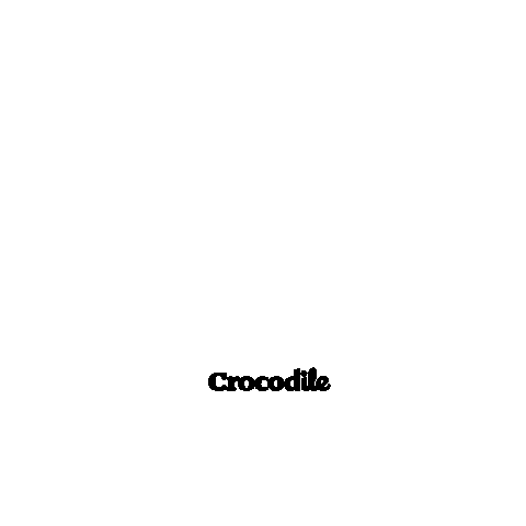 CrocodileInternational Sticker