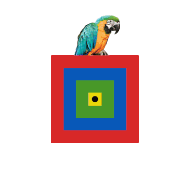 Macaw Bar Sticker