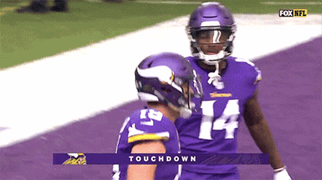 Minnesota Vikings GIF