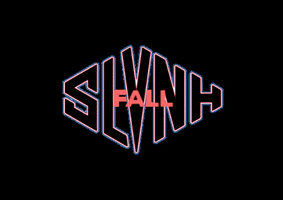 Sh Fallwinter2019 GIF by SILVIAN HEACH