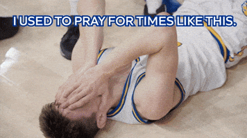 New York Win GIF by Hofstra University