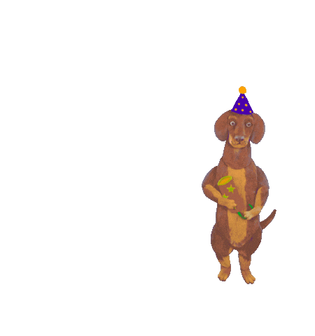 Dog Birthday Sticker by camphollow