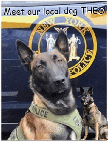 Paws For Laws GIF