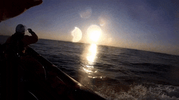 Search And Rescue Sunset GIF by Royal National Lifeboat Institution