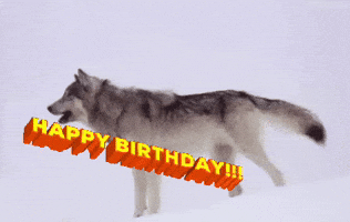 Happy Birthday GIF