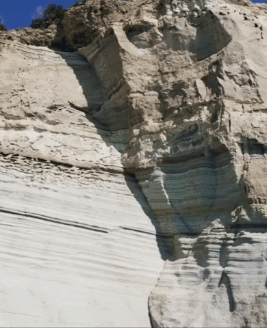 poplightproductions GIF