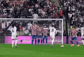 Real Madrid Football GIF