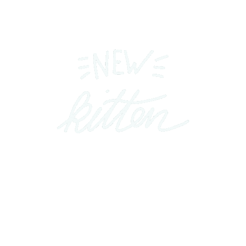 Kitten Sticker by Kaiserwelli