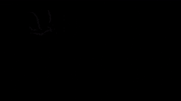 Golden Memorial Insurance GIF