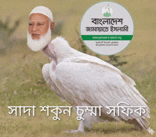 Bnp GIF