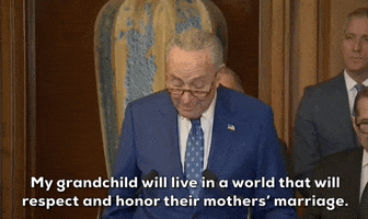 Marriage Equality Schumer GIF by GIPHY News