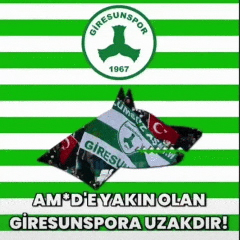 Futbol Adam GIF