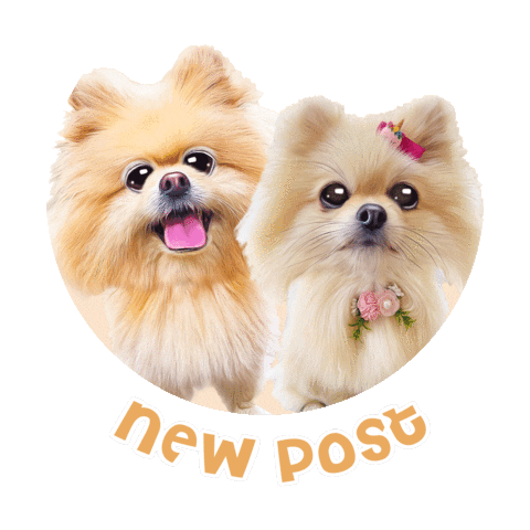 Happy Dogs Sticker