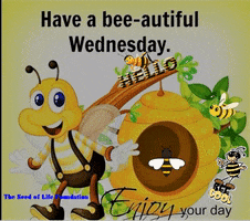 Digital Art gif. Bee wearing overalls and a striped shirt poses next to a beehive and text that reads, “Have a bee-autiful Wednesday, enjoy your day,” Barry B. Benson from The Bee Movie lays atop with the text, “Hello,” and other bees buzz around, with messages that say "save the bees" and "bee cool," Additional text reads “The Seed of Life Foundation.”