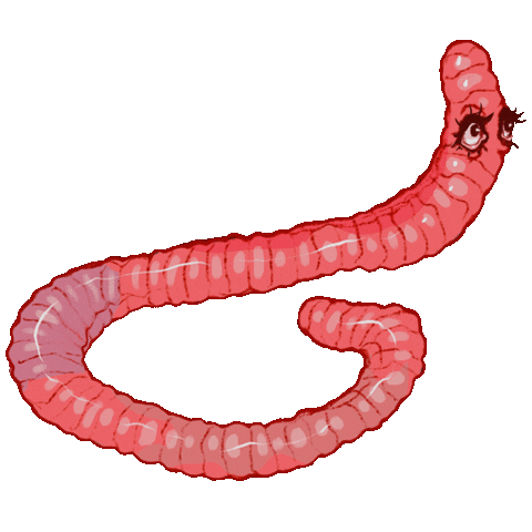 Worm Sticker