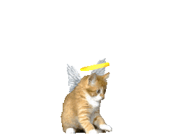 Angel Cat Sticker