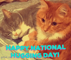 National Hugging Day GIF by GIFiday