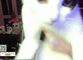 Cat Kiss GIF