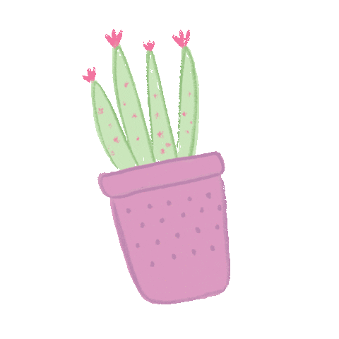 Summer Illustration Sticker by Silk the Brand