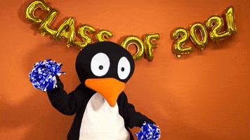 GIF by ST Math
