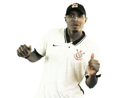 Gavioes Da Fiel Soccer Sticker