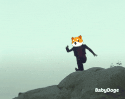 Lets Go Money GIF by Baby Doge Coin