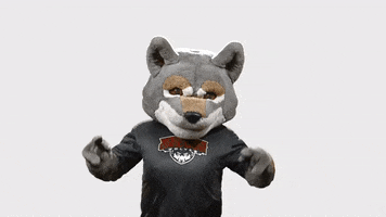200.gif?cid=fc005b08144fbc54990c677ee40628efa64b02fe6c9fcd2b&rid=200.gif&ct=g