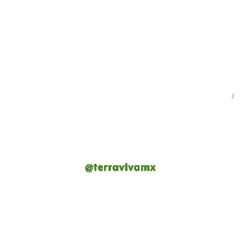 Ciudad Deportiva Sticker by Terraviva