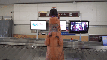 Tired Baggage Claim GIF by Reagan Washington National Airport