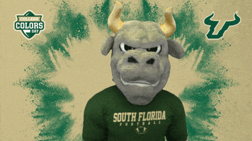College Sports Hello GIF by College Colors Day