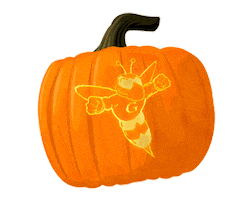 Halloween Pumpkin Sticker by Graceland University