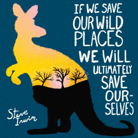 Endangered-species-day GIFs - Get the best GIF on GIPHY Endangered-species-day GIFs - Get the best GIF on GIPHY