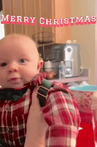 Merry Christmas GIF