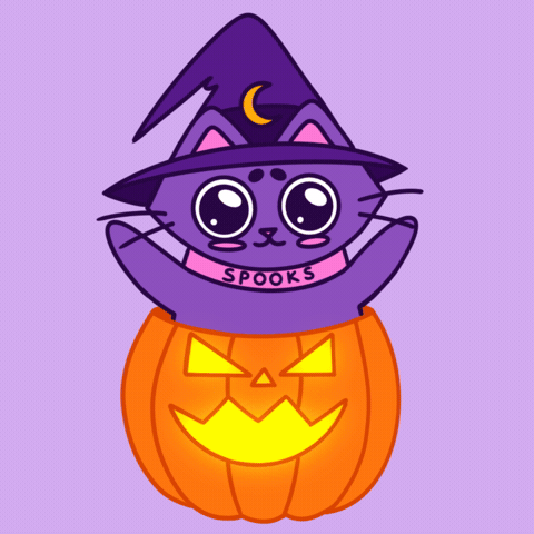 Jack O Lantern Halloween GIF by Spooks the Cat