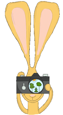 Earth Forest Sticker