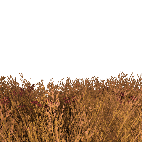 Summer Flower Sticker