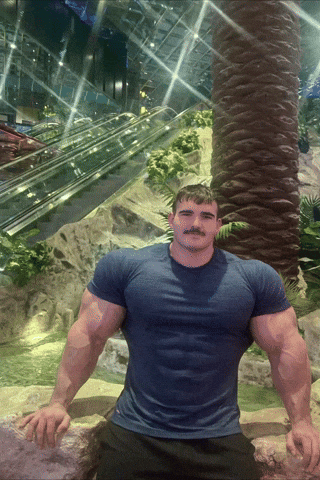Bode GIF