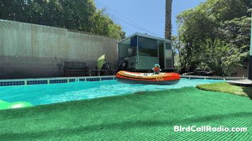 Summer Vibes GIF