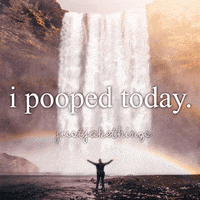 Poop Today GIF