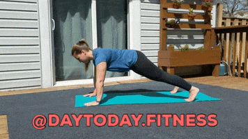 Planks GIF