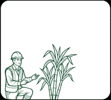 Bioenergetica Aroeira GIF by Bio Aroeira