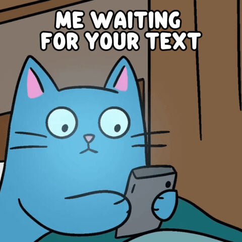 Blue Cat Relationship Goals GIF