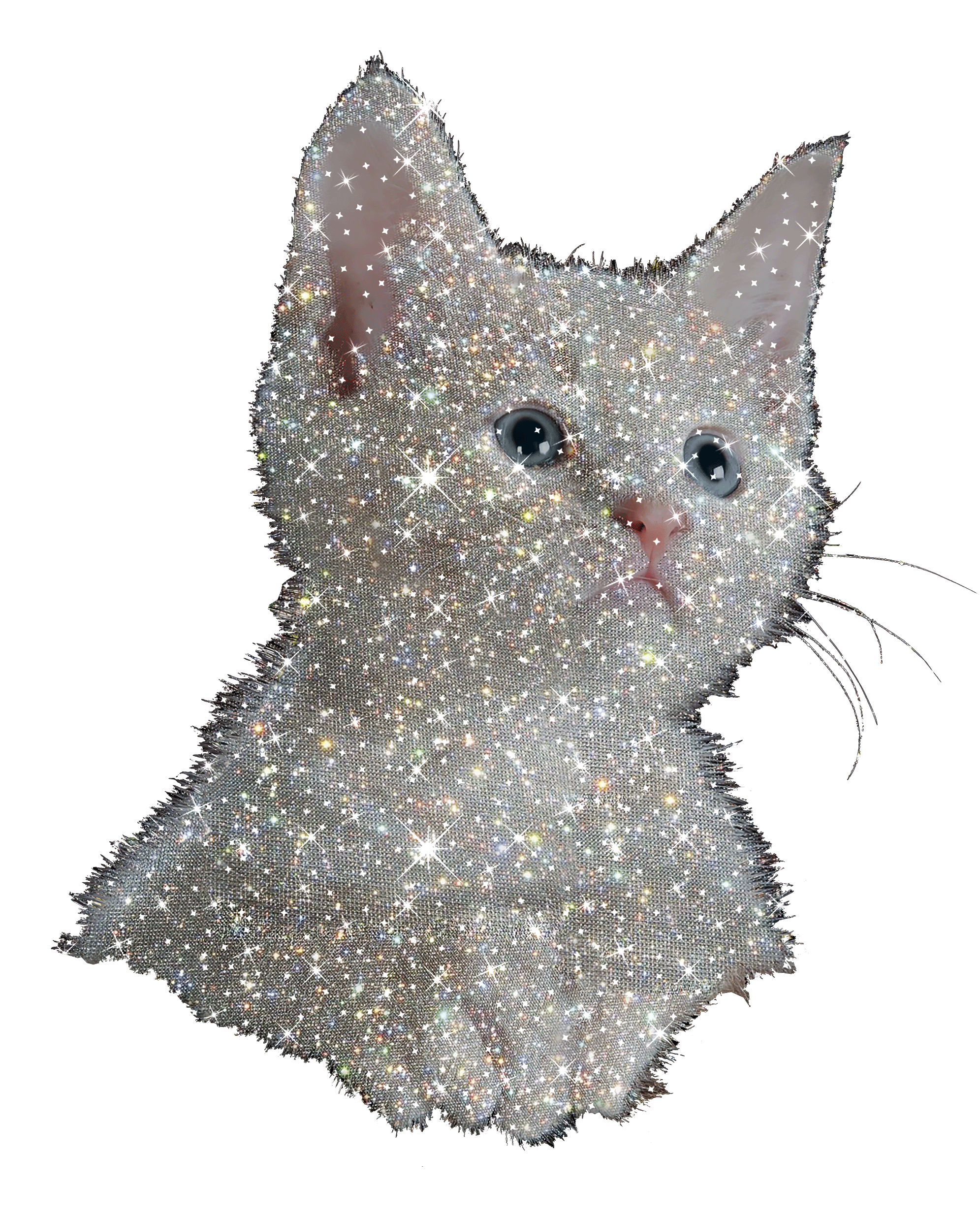 Cat Kitten Sticker by brownsfashion for iOS & Android GIPHY