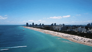 Miami Beach GIF by ATLAST