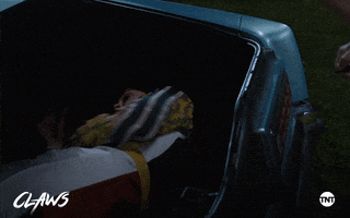 Trunk Polly GIF by ClawsTNT