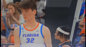 Gators GIF