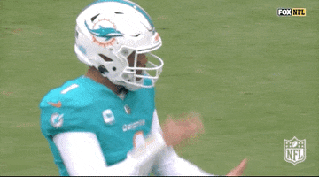 Miami Dolphins Football GIF by NFL