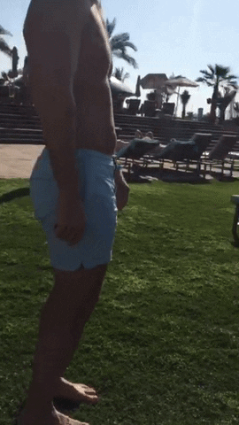donsamraz  GIF