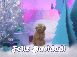 Feliz Navidad Dog GIF by Winter Wonderland
