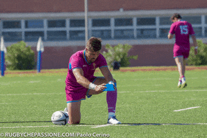 Rugby GIF